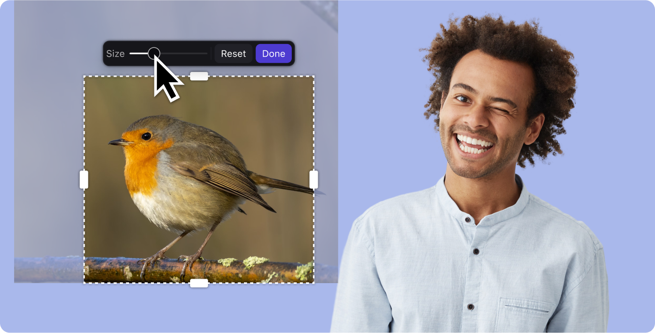 Crop and Zoom in mmhmm with purple background, person winking, and bird