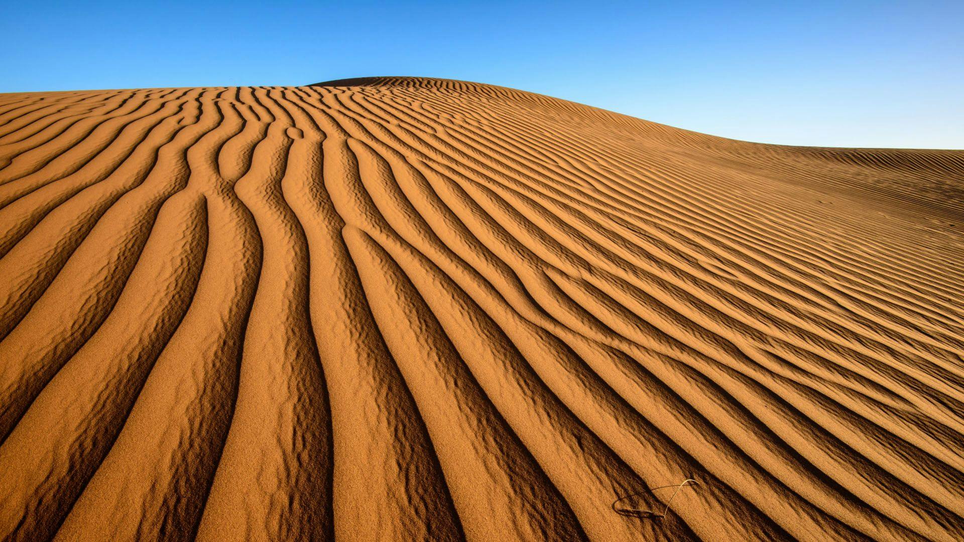 Sand in desert in Zagora province, Morocco