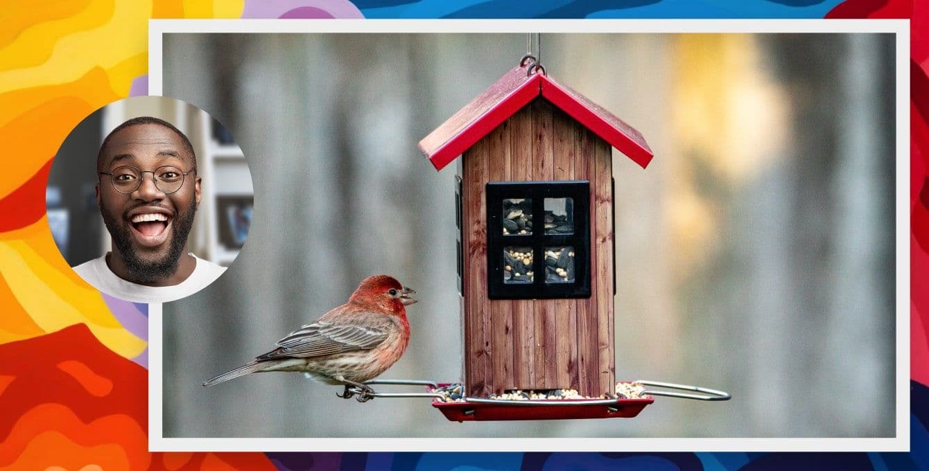 Person in a circle next to a picture of a birdfeeder